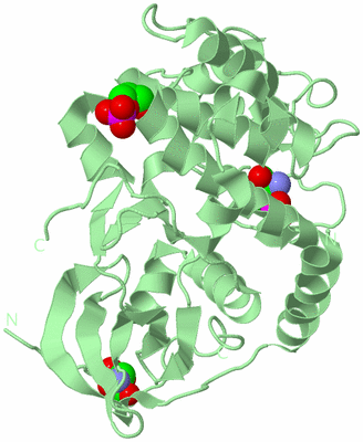 Image Biological Unit 2