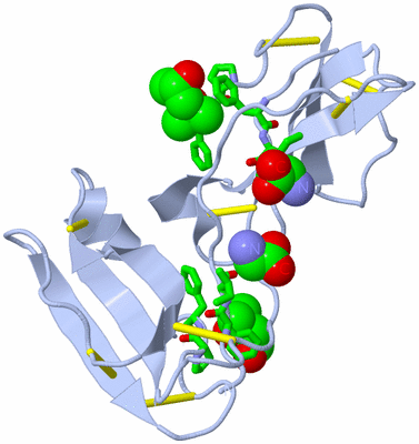 Image Biol. Unit 1 - sites