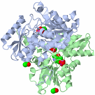 Image Asym./Biol. Unit