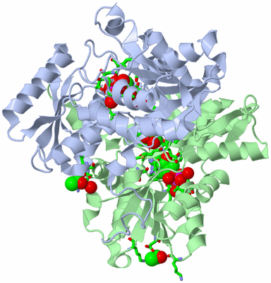 Image Asym./Biol. Unit - sites