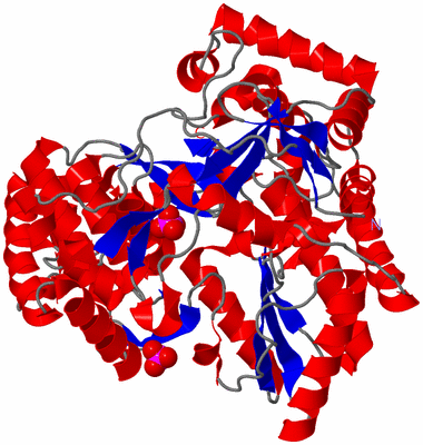 Image Asym./Biol. Unit