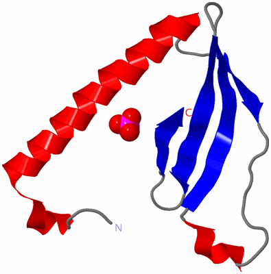 Image Asymmetric Unit