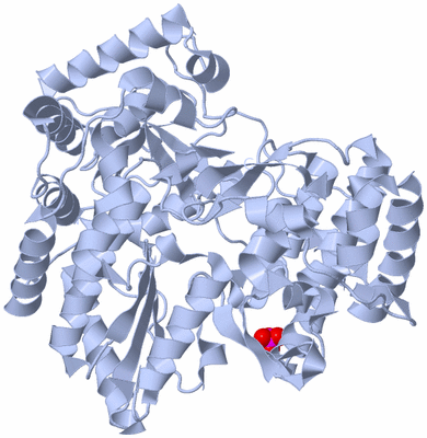 Image Biological Unit 1