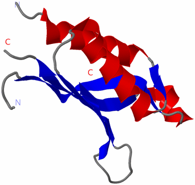 Image Asymmetric Unit