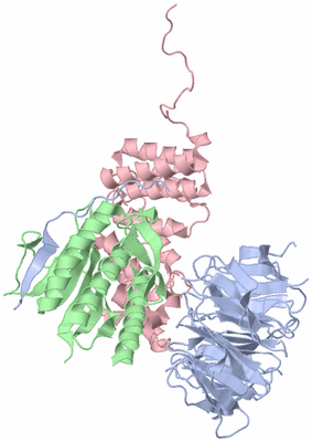 Image Biological Unit 1