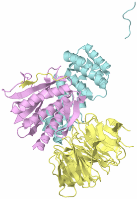 Image Biological Unit 2