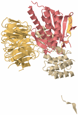 Image Biological Unit 3