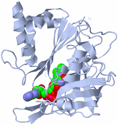 Image Biological Unit 1