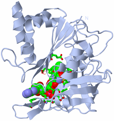 Image Biol. Unit 1 - sites