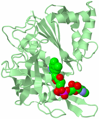 Image Biological Unit 2