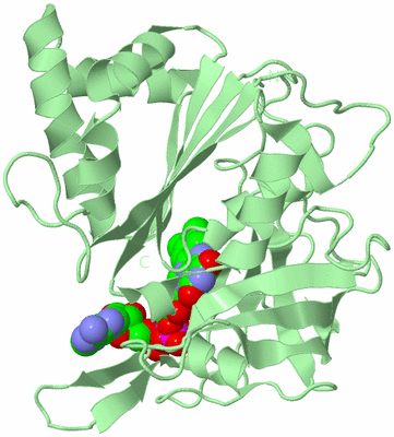 Image Biological Unit 2