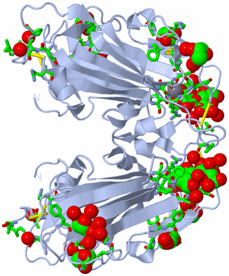 Image Biol. Unit 1 - sites