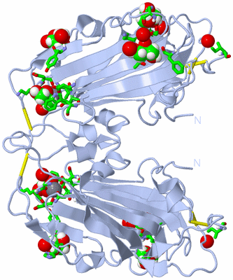 Image Biol. Unit 1 - sites