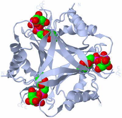 Image Biological Unit 1