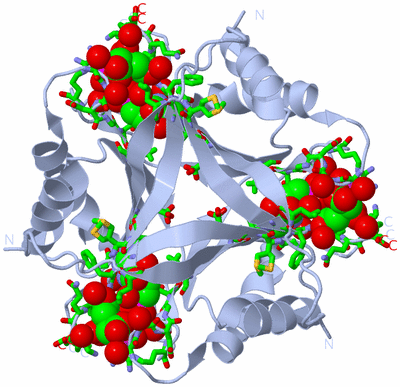 Image Biol. Unit 1 - sites