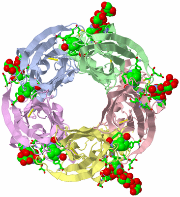 Image Asym./Biol. Unit - sites