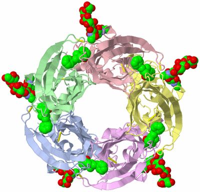 Image Asym./Biol. Unit