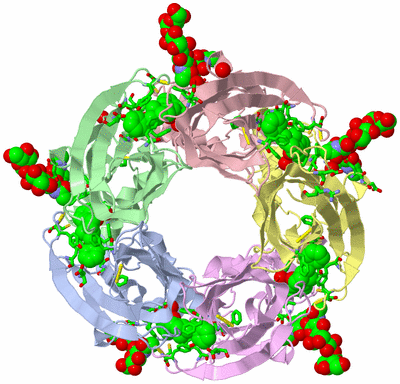 Image Asym./Biol. Unit - sites