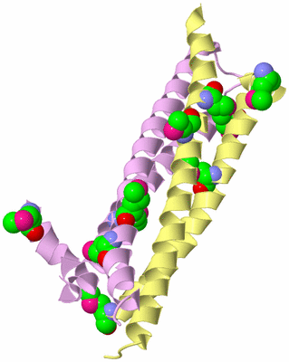 Image Biological Unit 3