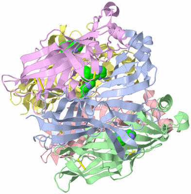 Image Asym./Biol. Unit