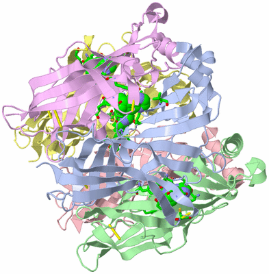 Image Asym./Biol. Unit - sites