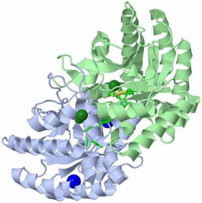 Image Asym./Biol. Unit