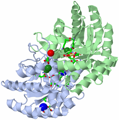 Image Asym./Biol. Unit - sites