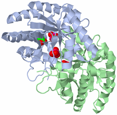 Image Asym./Biol. Unit