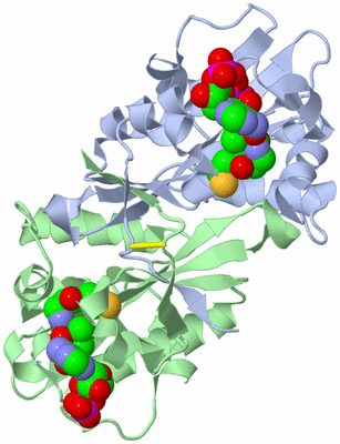 Image Asym./Biol. Unit