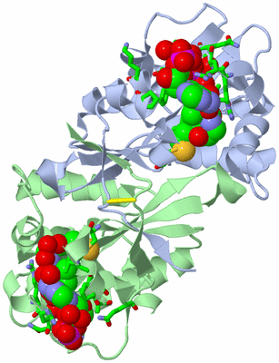 Image Asym./Biol. Unit - sites