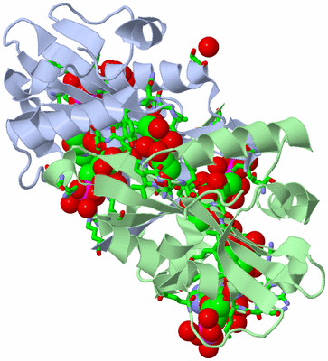 Image Asym./Biol. Unit - sites