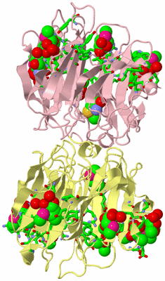 Image Biol. Unit 1 - sites