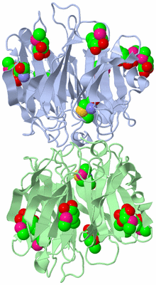 Image Biological Unit 2