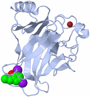 Image Biological Unit 1