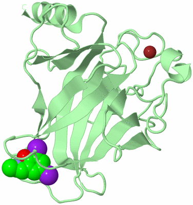Image Biological Unit 2