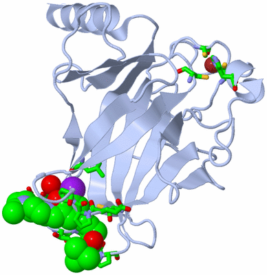 Image Biol. Unit 1 - sites