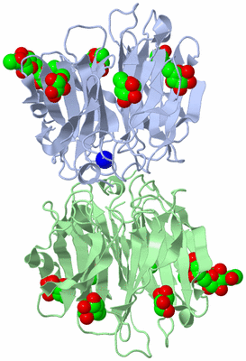 Image Asym./Biol. Unit