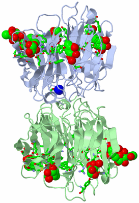 Image Asym./Biol. Unit - sites