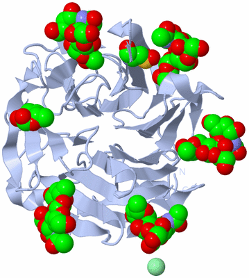 Image Biological Unit 1