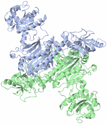 Image Biological Unit 1