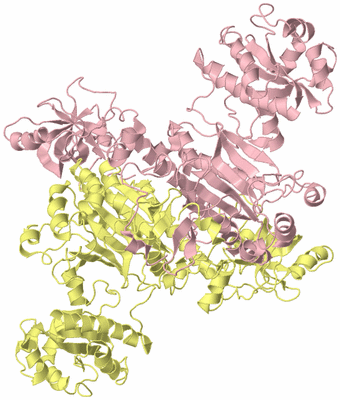 Image Biological Unit 2