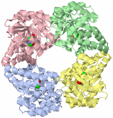 Image Asym./Biol. Unit