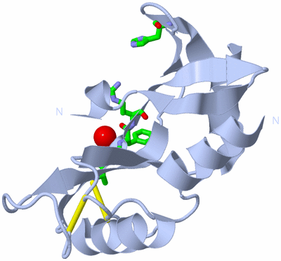 Image Biol. Unit 1 - sites