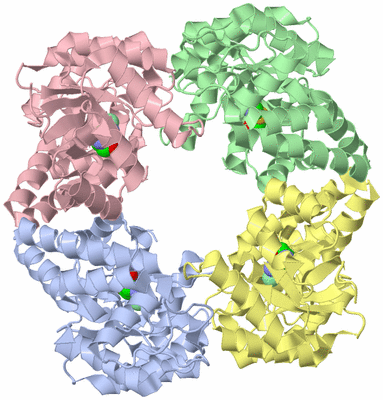 Image Asym./Biol. Unit