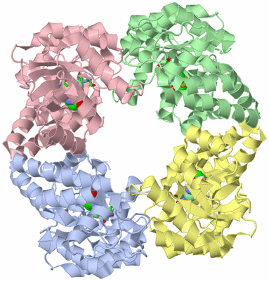 Image Asym./Biol. Unit - sites