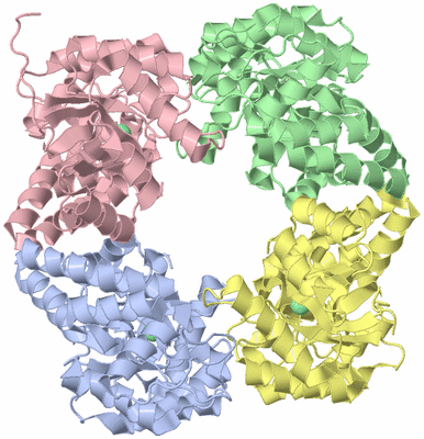 Image Asym./Biol. Unit