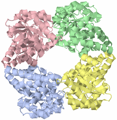 Image Asym./Biol. Unit