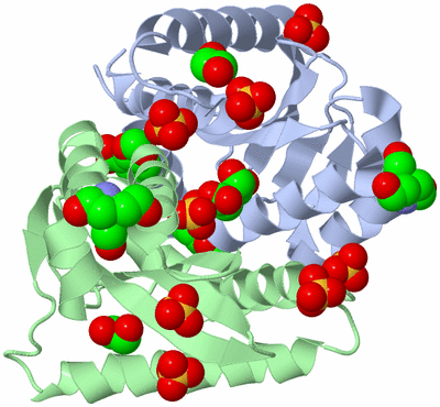 Image Asym./Biol. Unit