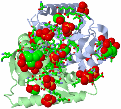 Image Asym./Biol. Unit - sites