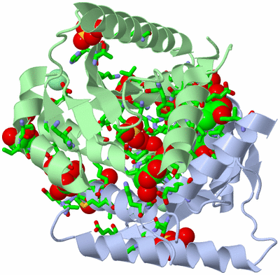 Image Asym./Biol. Unit - sites